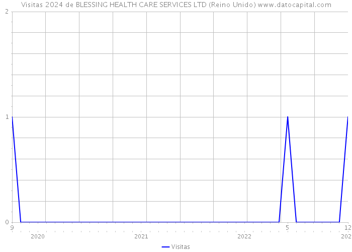 Visitas 2024 de BLESSING HEALTH CARE SERVICES LTD (Reino Unido) 