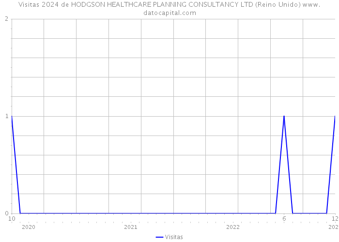 Visitas 2024 de HODGSON HEALTHCARE PLANNING CONSULTANCY LTD (Reino Unido) 