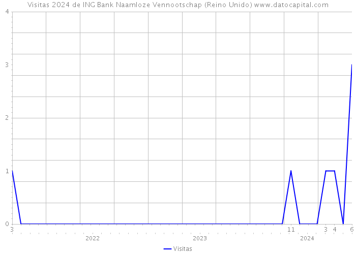 Visitas 2024 de ING Bank Naamloze Vennootschap (Reino Unido) 