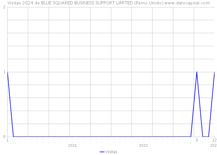 Visitas 2024 de BLUE SQUARED BUSINESS SUPPORT LIMITED (Reino Unido) 