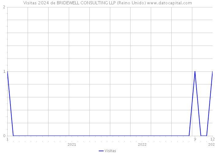 Visitas 2024 de BRIDEWELL CONSULTING LLP (Reino Unido) 