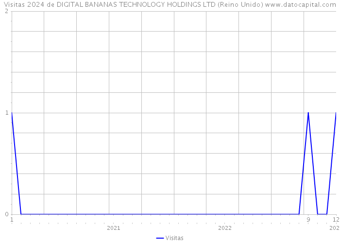 Visitas 2024 de DIGITAL BANANAS TECHNOLOGY HOLDINGS LTD (Reino Unido) 