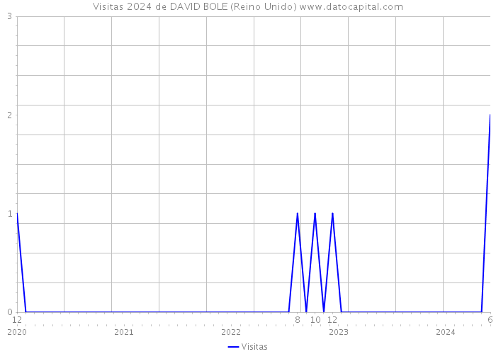 Visitas 2024 de DAVID BOLE (Reino Unido) 