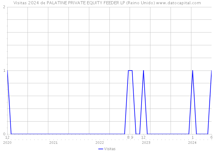 Visitas 2024 de PALATINE PRIVATE EQUITY FEEDER LP (Reino Unido) 