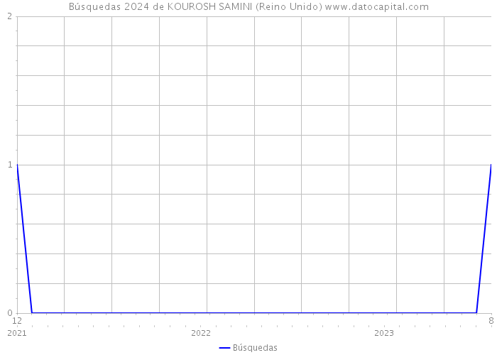 Búsquedas 2024 de KOUROSH SAMINI (Reino Unido) 