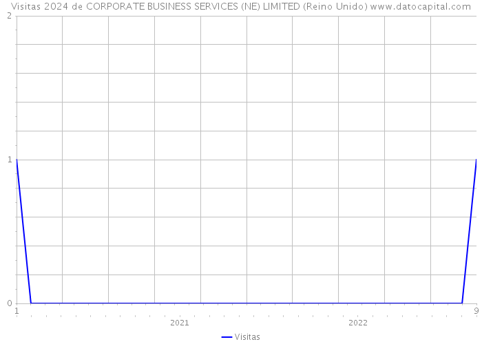 Visitas 2024 de CORPORATE BUSINESS SERVICES (NE) LIMITED (Reino Unido) 