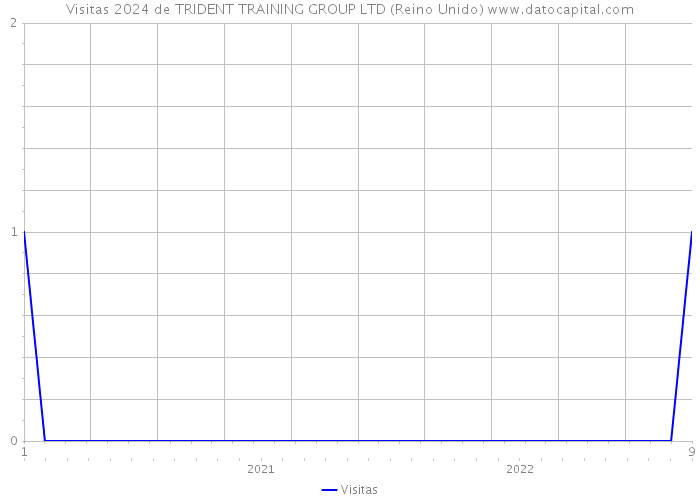 Visitas 2024 de TRIDENT TRAINING GROUP LTD (Reino Unido) 