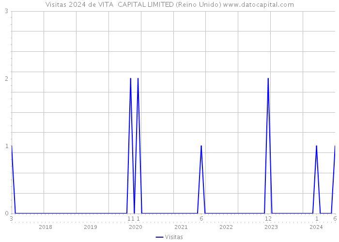 Visitas 2024 de VITA CAPITAL LIMITED (Reino Unido) 