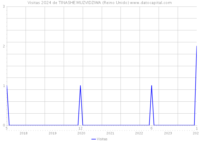 Visitas 2024 de TINASHE MUZVIDZIWA (Reino Unido) 