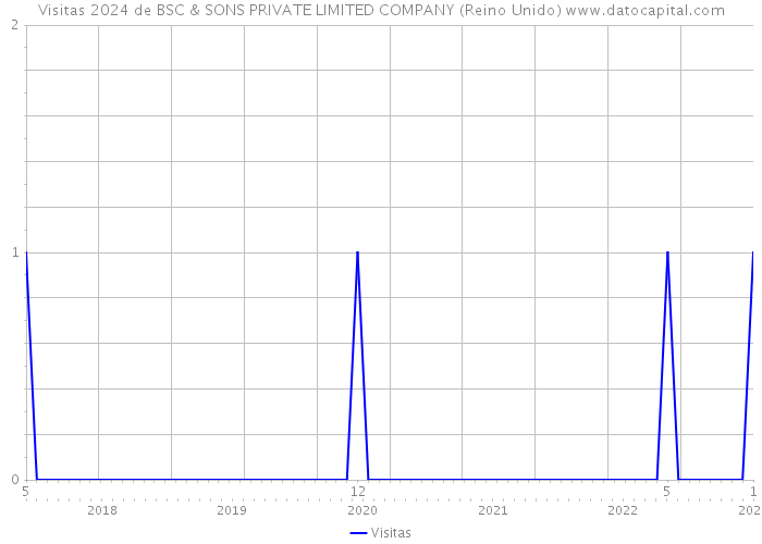 Visitas 2024 de BSC & SONS PRIVATE LIMITED COMPANY (Reino Unido) 