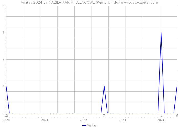 Visitas 2024 de NAZILA KARIMI BLENCOWE (Reino Unido) 