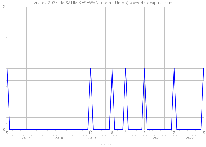 Visitas 2024 de SALIM KESHWANI (Reino Unido) 