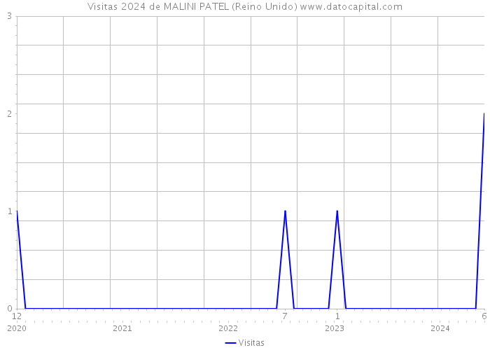 Visitas 2024 de MALINI PATEL (Reino Unido) 