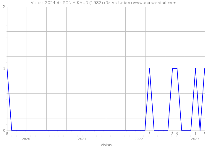 Visitas 2024 de SONIA KAUR (1982) (Reino Unido) 