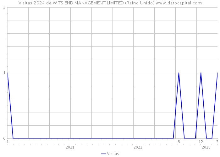 Visitas 2024 de WITS END MANAGEMENT LIMITED (Reino Unido) 