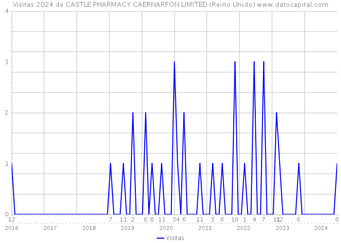 Visitas 2024 de CASTLE PHARMACY CAERNARFON LIMITED (Reino Unido) 