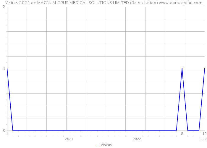 Visitas 2024 de MAGNUM OPUS MEDICAL SOLUTIONS LIMITED (Reino Unido) 