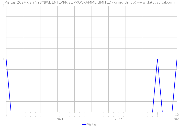 Visitas 2024 de YNYSYBWL ENTERPRISE PROGRAMME LIMITED (Reino Unido) 