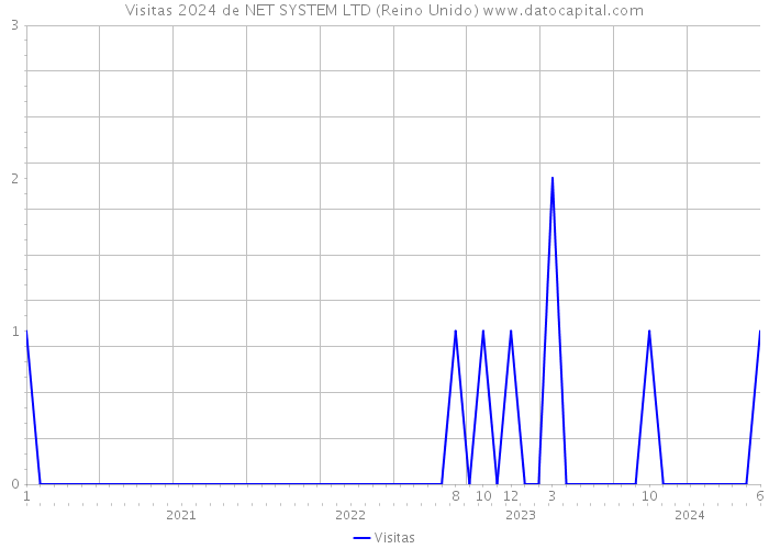 Visitas 2024 de NET SYSTEM LTD (Reino Unido) 