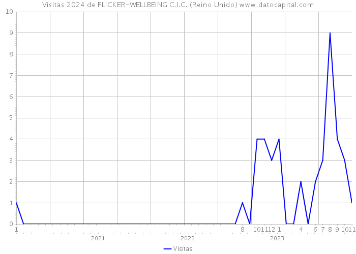 Visitas 2024 de FLICKER-WELLBEING C.I.C. (Reino Unido) 