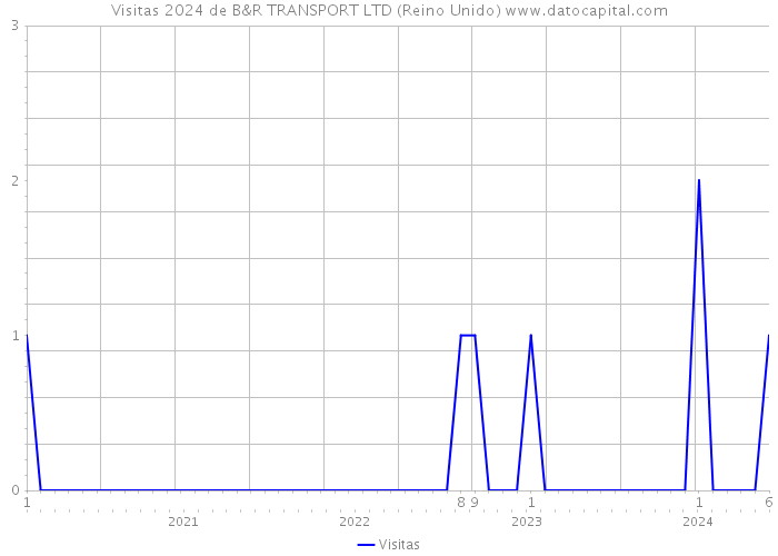 Visitas 2024 de B&R TRANSPORT LTD (Reino Unido) 