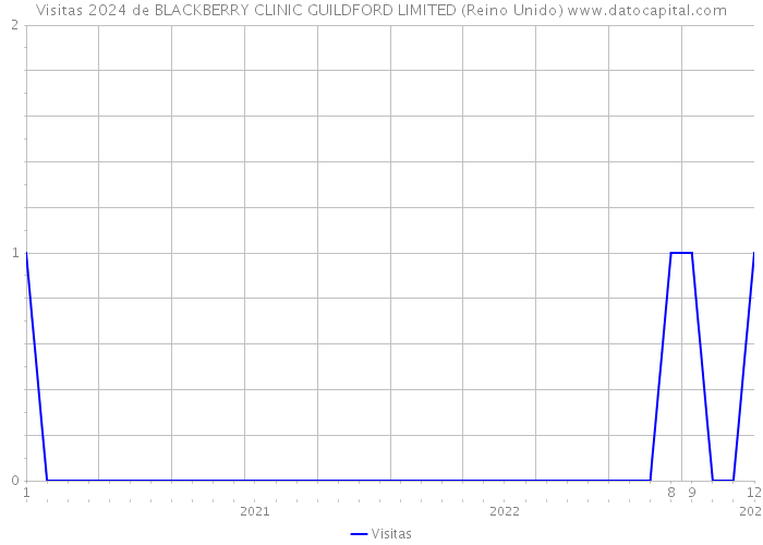 Visitas 2024 de BLACKBERRY CLINIC GUILDFORD LIMITED (Reino Unido) 