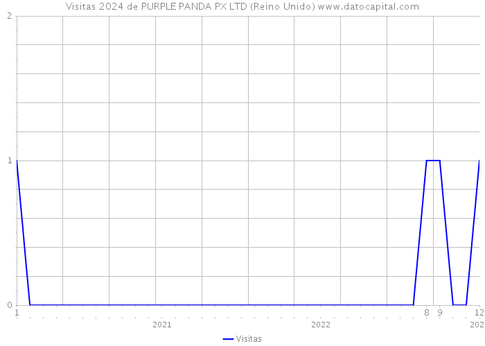 Visitas 2024 de PURPLE PANDA PX LTD (Reino Unido) 