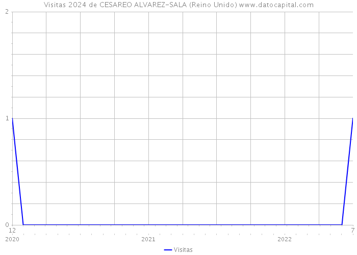 Visitas 2024 de CESAREO ALVAREZ-SALA (Reino Unido) 