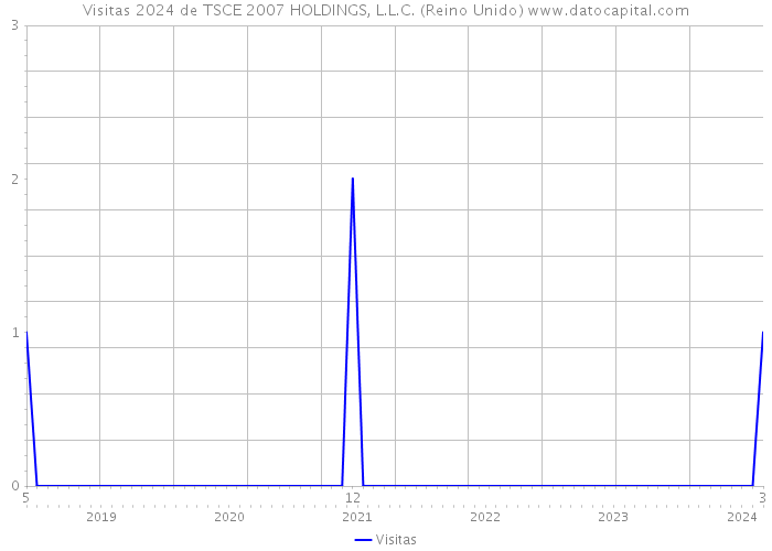 Visitas 2024 de TSCE 2007 HOLDINGS, L.L.C. (Reino Unido) 