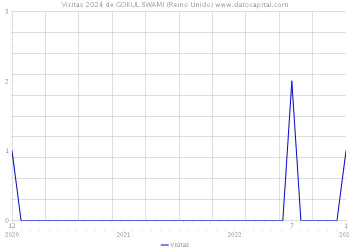 Visitas 2024 de GOKUL SWAMI (Reino Unido) 