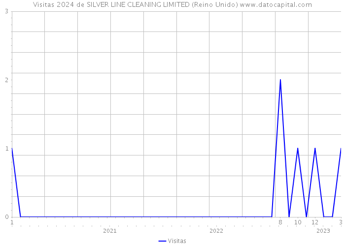 Visitas 2024 de SILVER LINE CLEANING LIMITED (Reino Unido) 