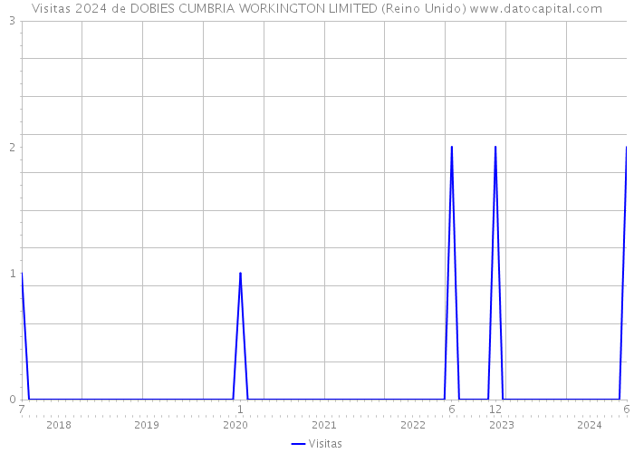 Visitas 2024 de DOBIES CUMBRIA WORKINGTON LIMITED (Reino Unido) 