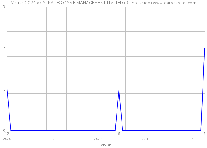 Visitas 2024 de STRATEGIC SME MANAGEMENT LIMITED (Reino Unido) 