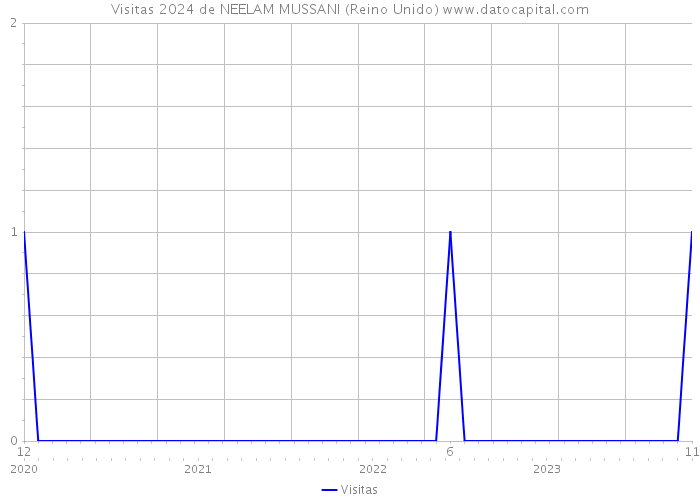 Visitas 2024 de NEELAM MUSSANI (Reino Unido) 