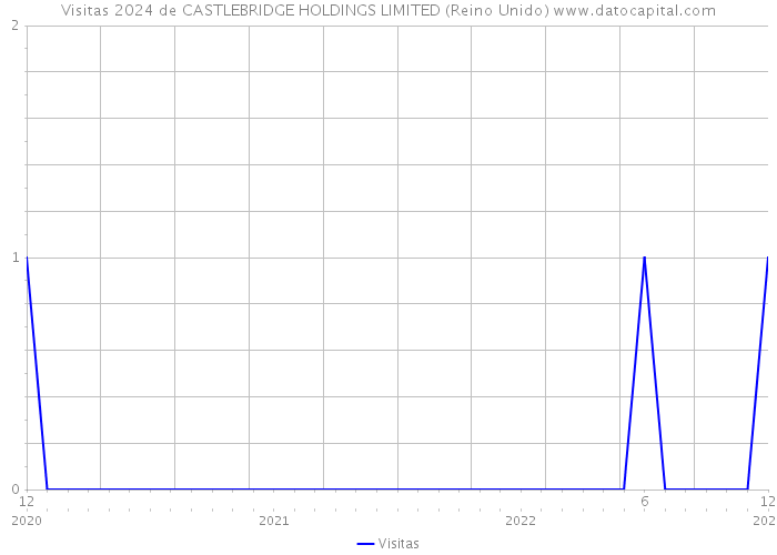 Visitas 2024 de CASTLEBRIDGE HOLDINGS LIMITED (Reino Unido) 