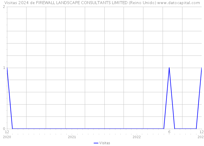 Visitas 2024 de FIREWALL LANDSCAPE CONSULTANTS LIMITED (Reino Unido) 