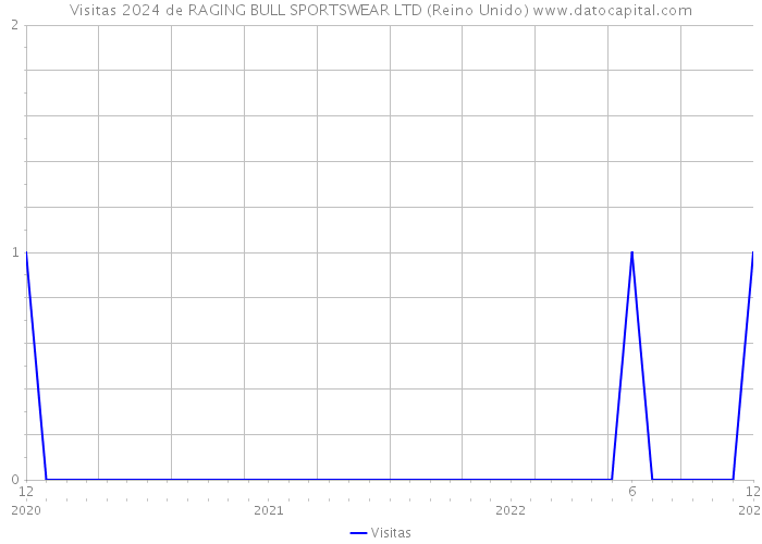 Visitas 2024 de RAGING BULL SPORTSWEAR LTD (Reino Unido) 