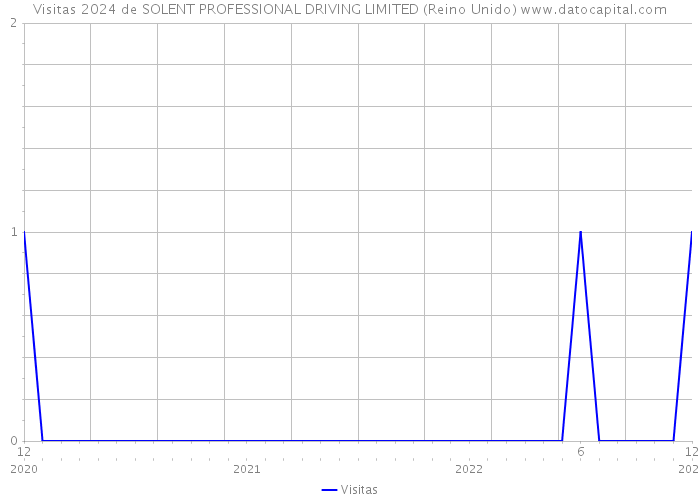 Visitas 2024 de SOLENT PROFESSIONAL DRIVING LIMITED (Reino Unido) 