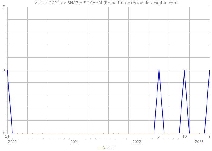 Visitas 2024 de SHAZIA BOKHARI (Reino Unido) 