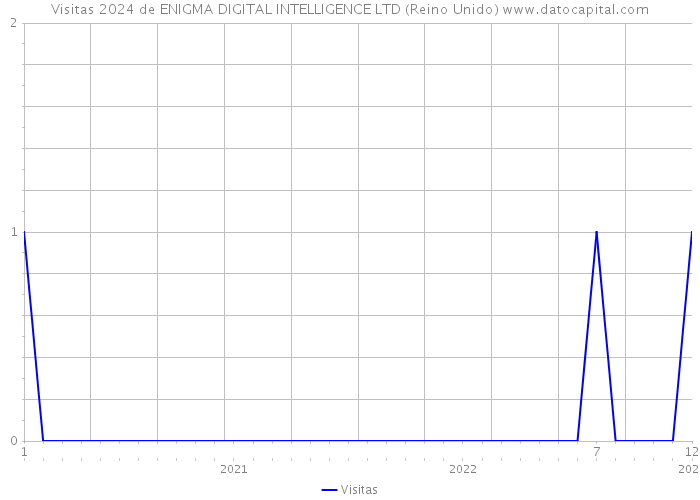 Visitas 2024 de ENIGMA DIGITAL INTELLIGENCE LTD (Reino Unido) 