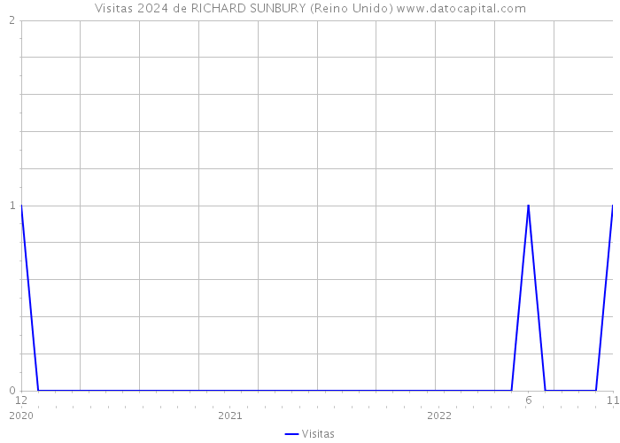 Visitas 2024 de RICHARD SUNBURY (Reino Unido) 