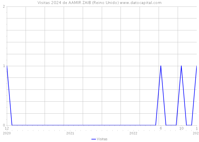 Visitas 2024 de AAMIR ZAIB (Reino Unido) 