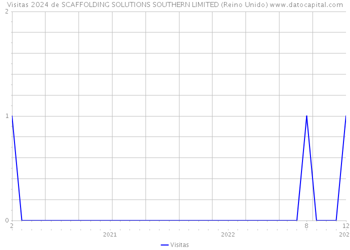 Visitas 2024 de SCAFFOLDING SOLUTIONS SOUTHERN LIMITED (Reino Unido) 