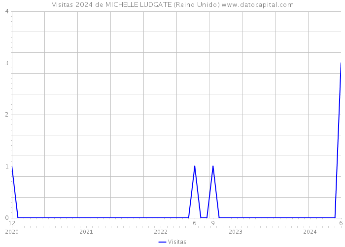 Visitas 2024 de MICHELLE LUDGATE (Reino Unido) 