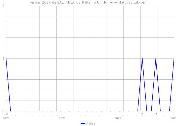 Visitas 2024 de BALJINDER UBHI (Reino Unido) 