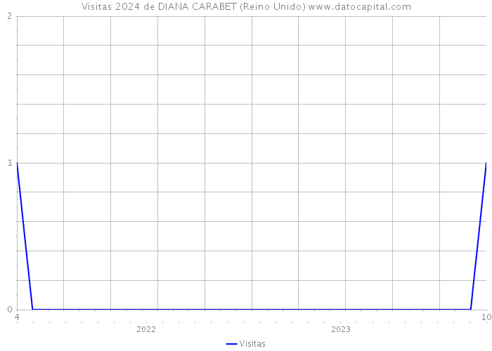 Visitas 2024 de DIANA CARABET (Reino Unido) 