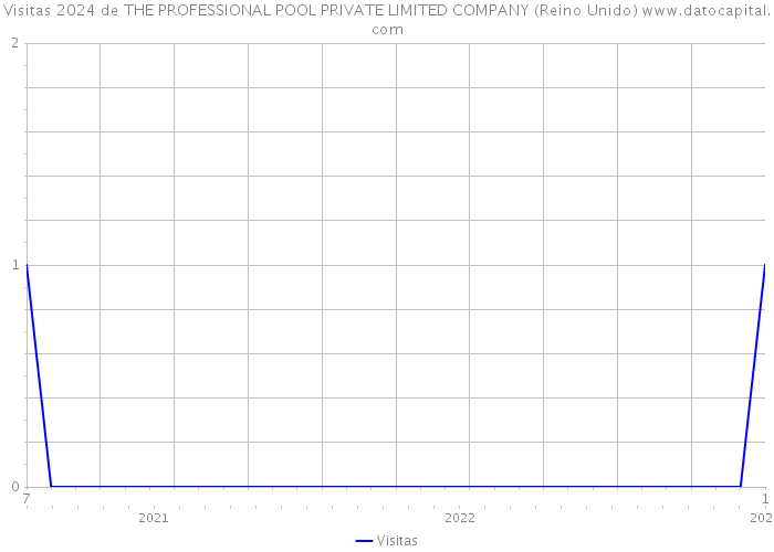 Visitas 2024 de THE PROFESSIONAL POOL PRIVATE LIMITED COMPANY (Reino Unido) 