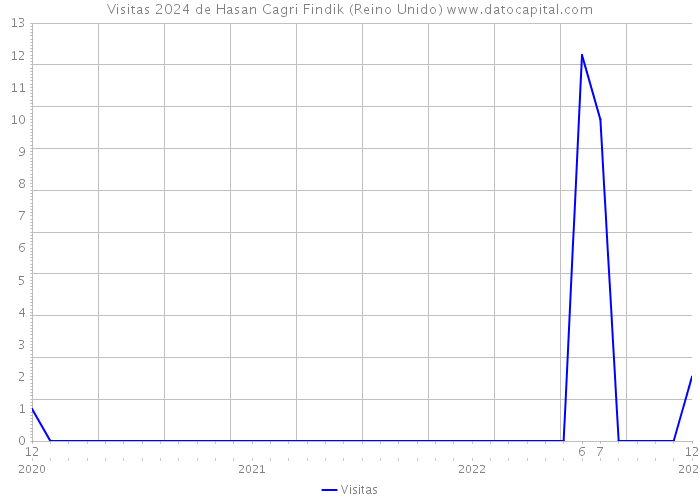 Visitas 2024 de Hasan Cagri Findik (Reino Unido) 