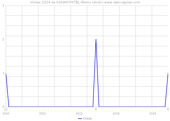 Visitas 2024 de KANAN PATEL (Reino Unido) 