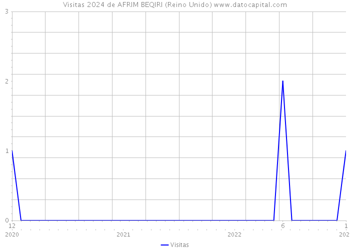 Visitas 2024 de AFRIM BEQIRI (Reino Unido) 